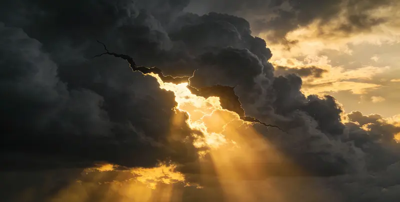 海东肺癌13基因突变检测（组织）图片1