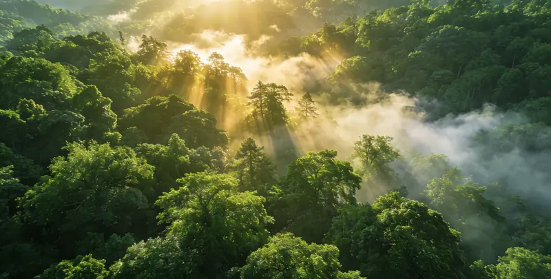海东肺癌8基因突变检测（组织）图片1