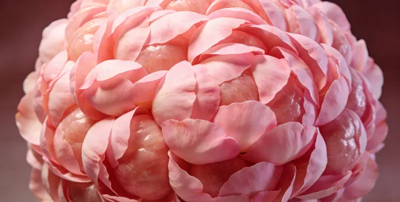 海东BRCA1/2乳腺癌卵巢癌基因检测图片1